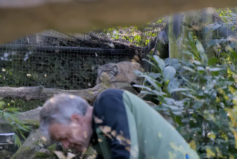 ロッテルダム動物園のノルブの写真