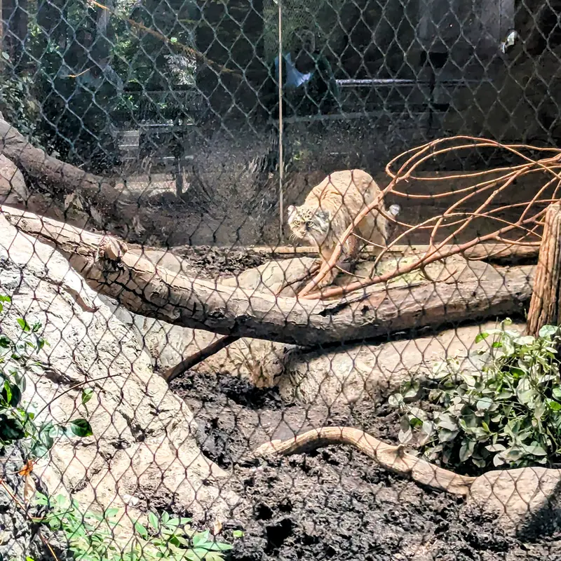プロスペクト・パーク動物園のサルナイの写真