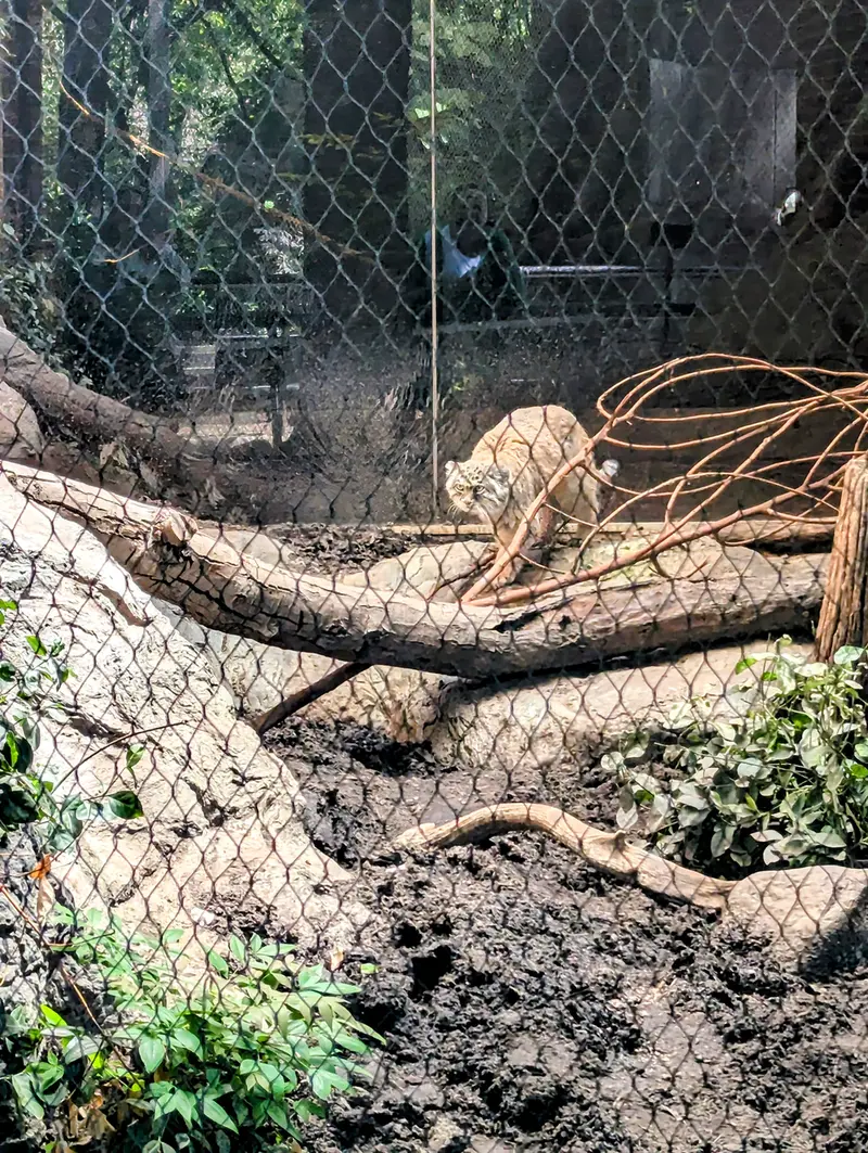 プロスペクト・パーク動物園のサルナイの写真