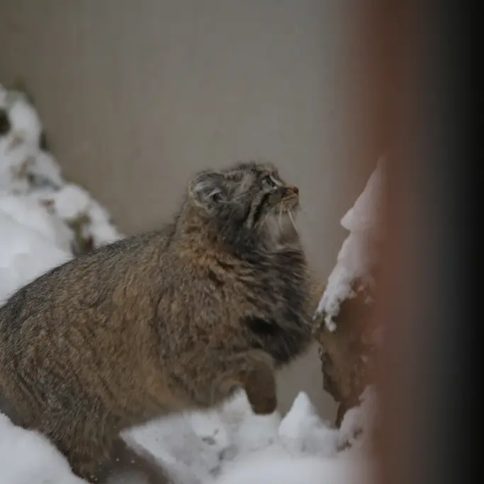 グダニスク動物園のウラの写真