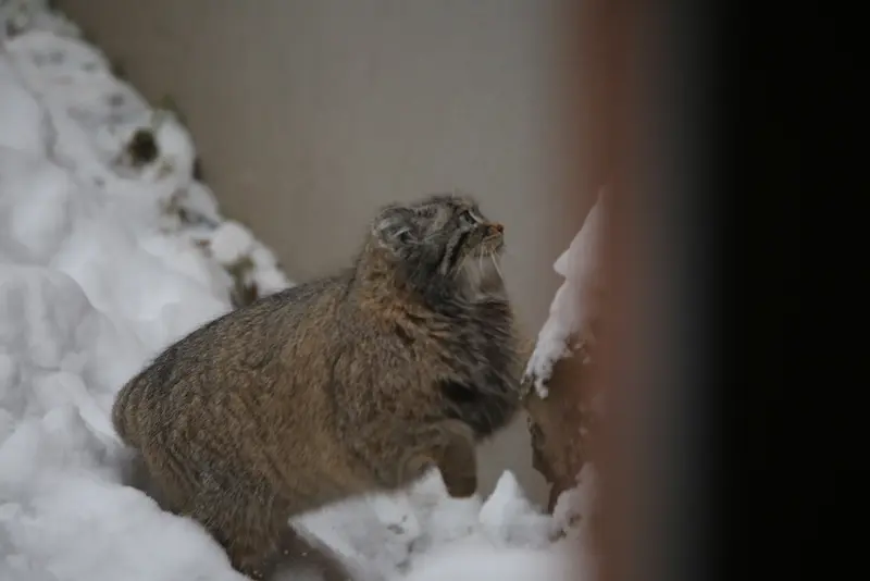 グダニスク動物園のウラの写真