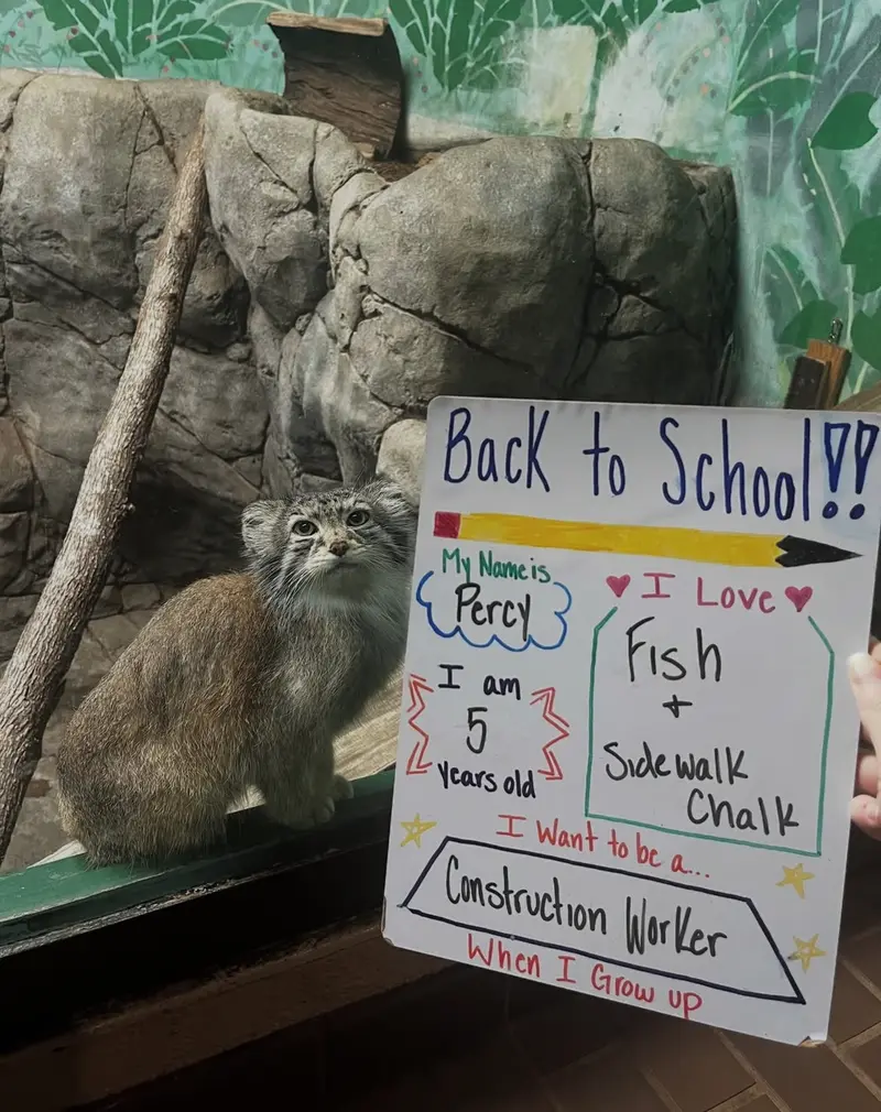 バーミングハム動物園のペルセウスの写真