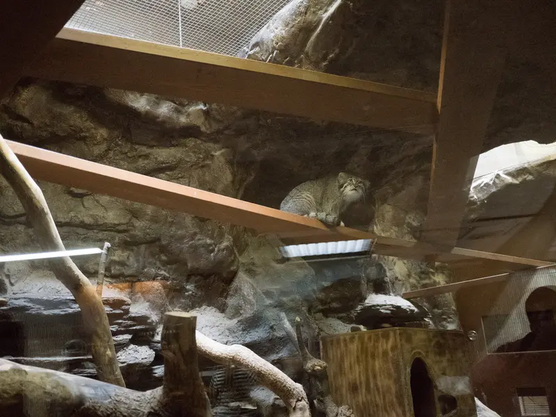恩賜上野動物園のクリョンの写真