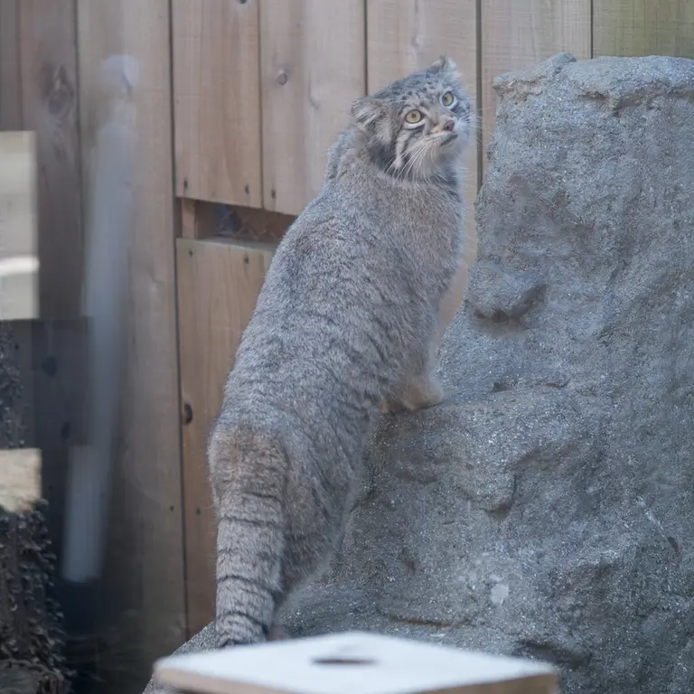 埼玉県こども動物自然公園のオトの写真