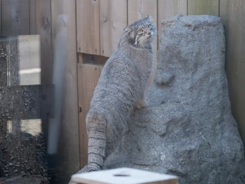 埼玉県こども動物自然公園のオトの写真