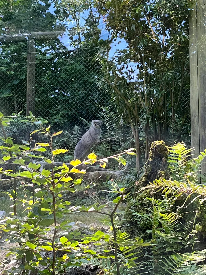 オペル動物園のバトゥの写真