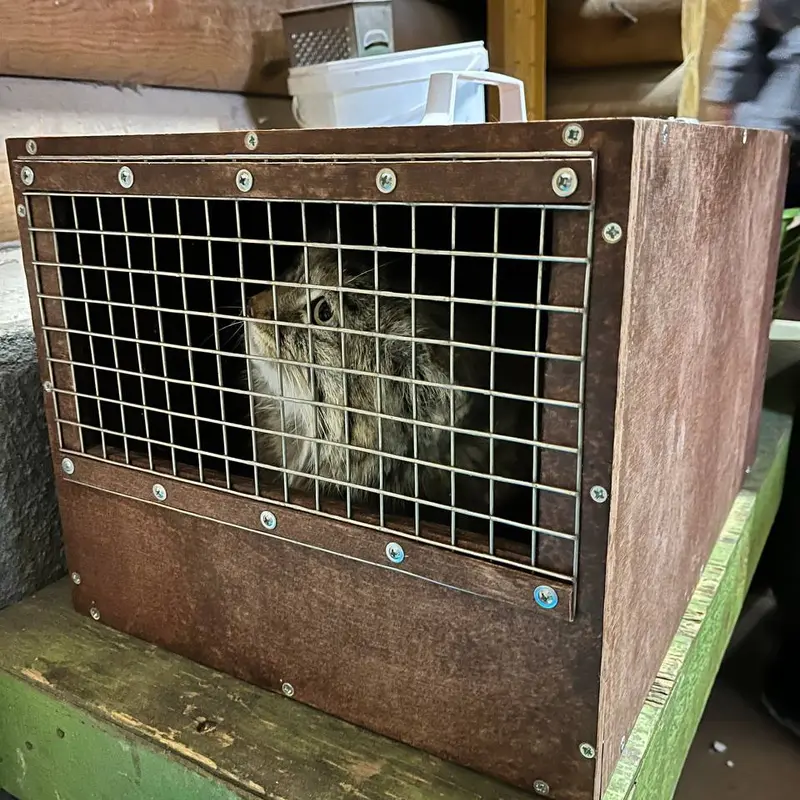 レニングラード動物園のペペの写真