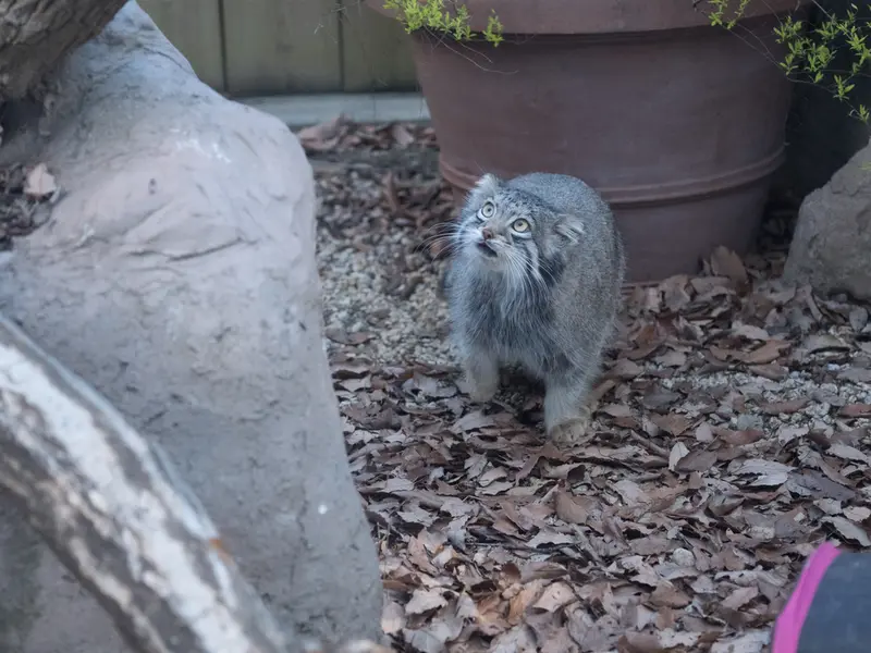 埼玉県こども動物自然公園のオトの写真