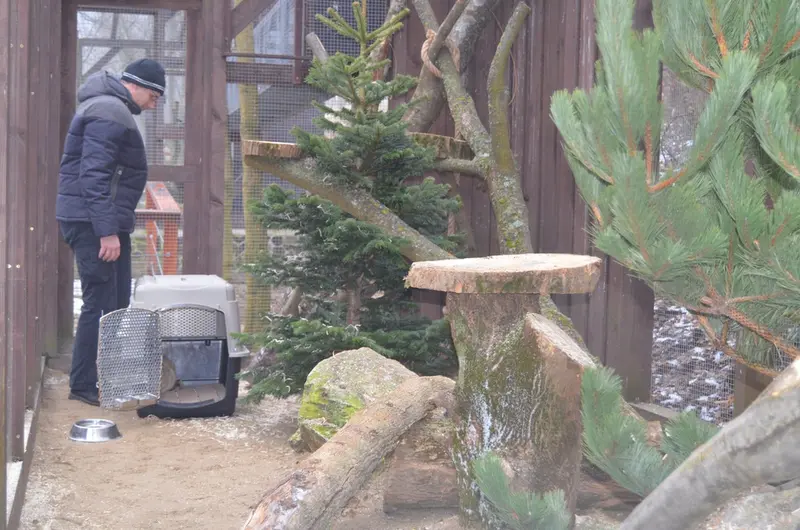 コシツェ動物園のアラニの写真