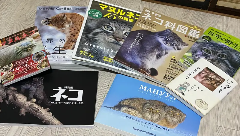 マヌルネコの写真