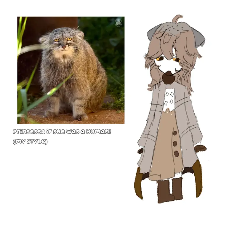 プリンセッサの写真