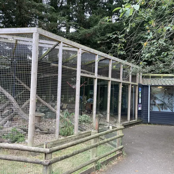 バナム動物園のマヌルネコの写真