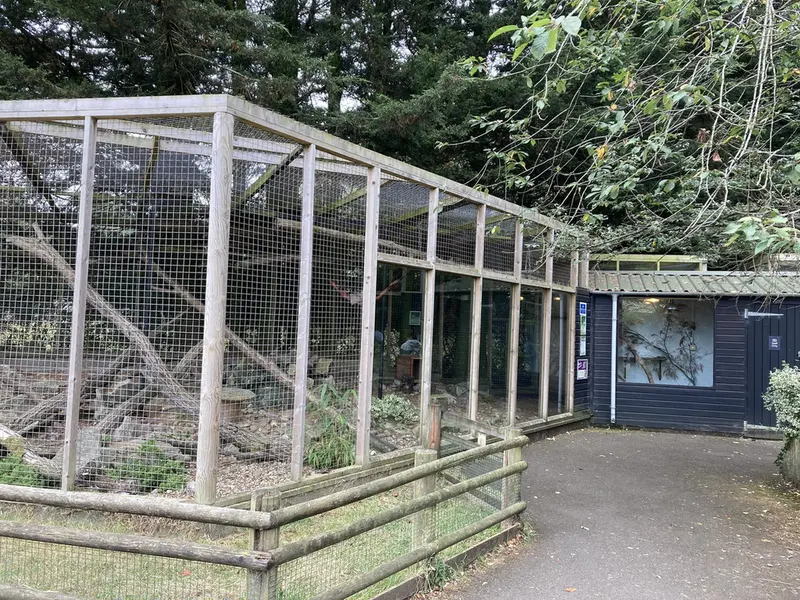 バナム動物園のマヌルネコの写真