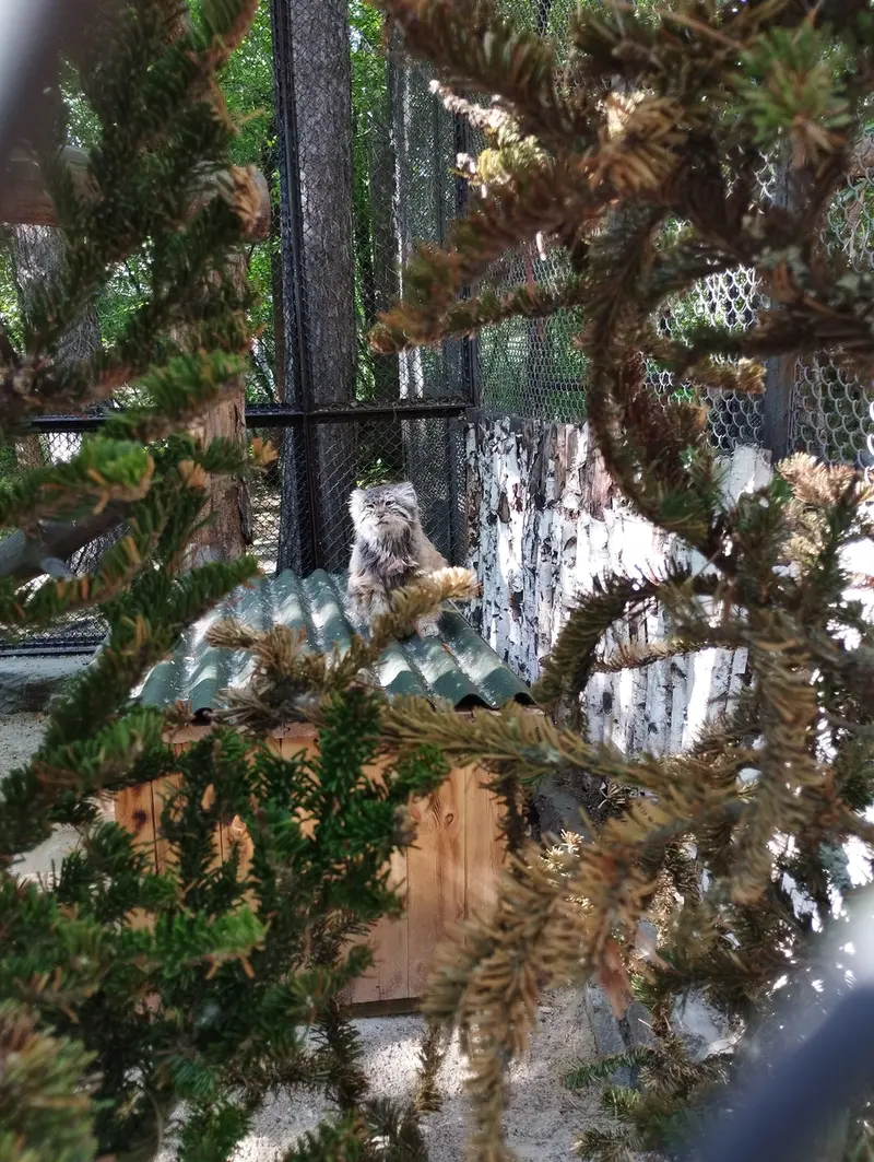 ノヴォシビルスク動物園のゼレノゴルスクの写真