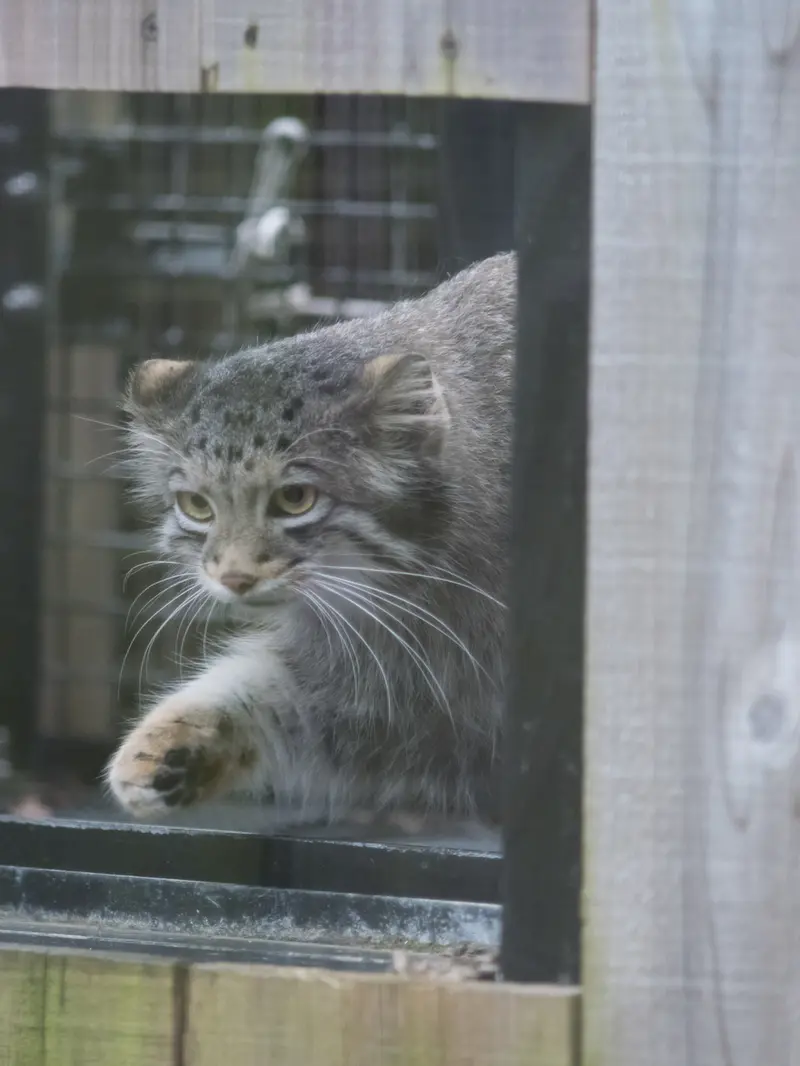 埼玉県こども動物自然公園のオトの写真