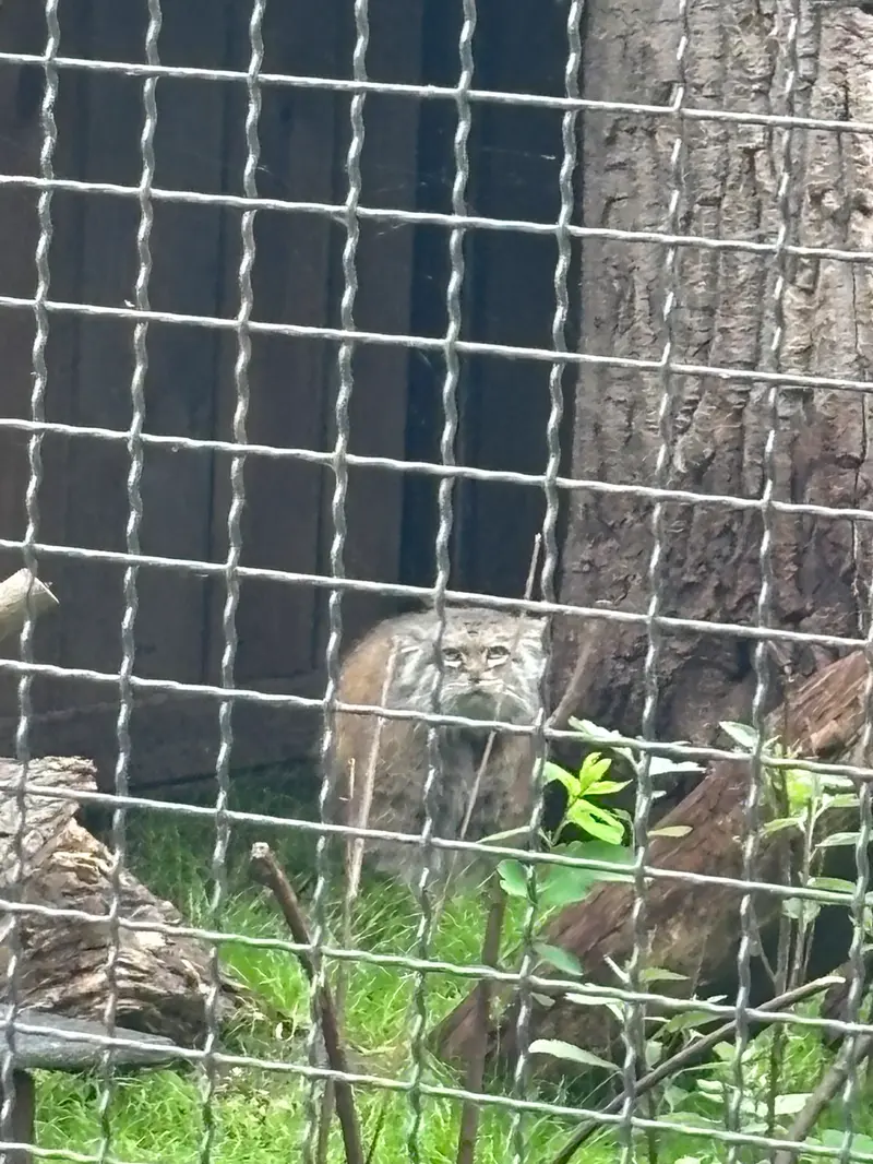 ワルシャワ動物園のジェシーの写真