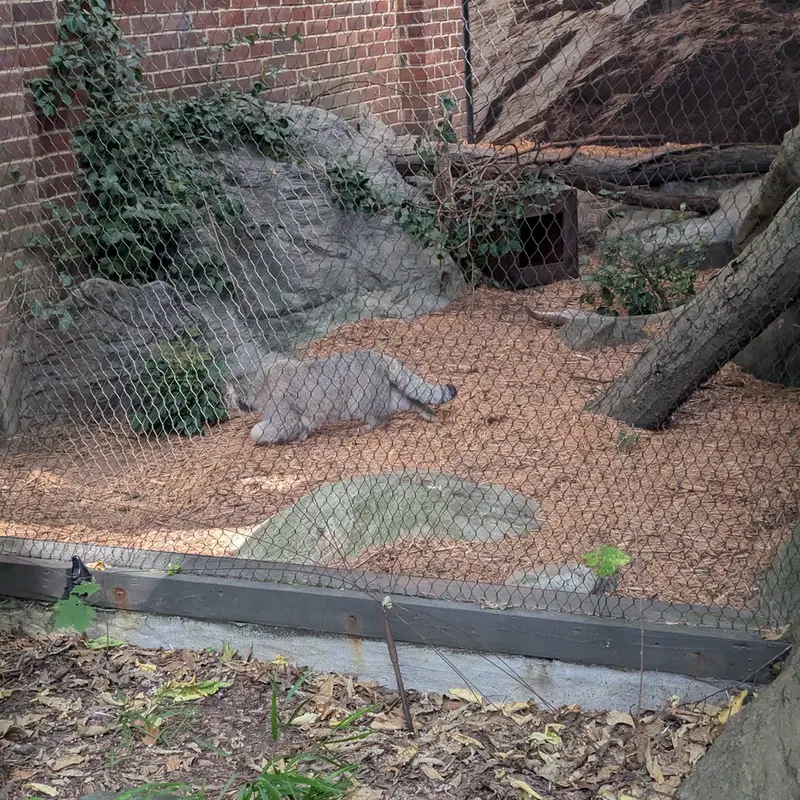 プロスペクト・パーク動物園のサルナイの写真