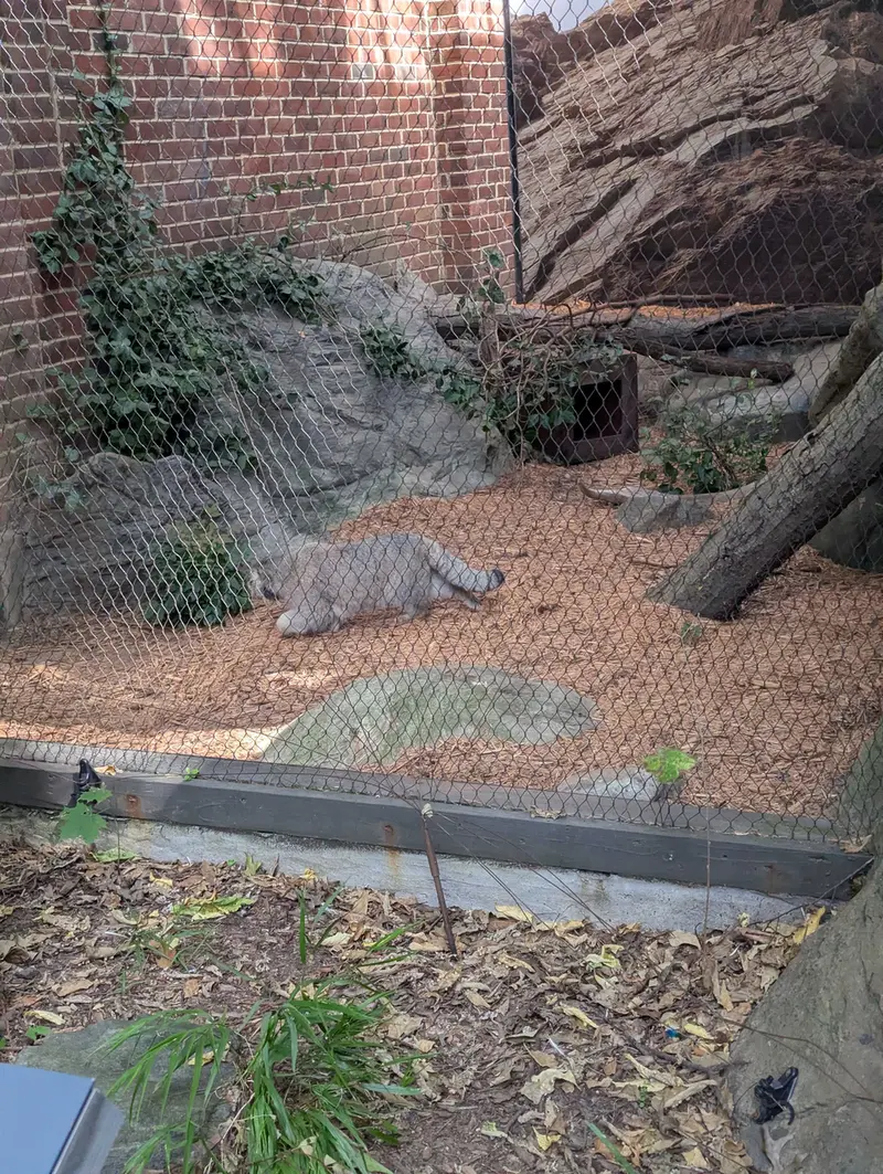 プロスペクト・パーク動物園のサルナイの写真
