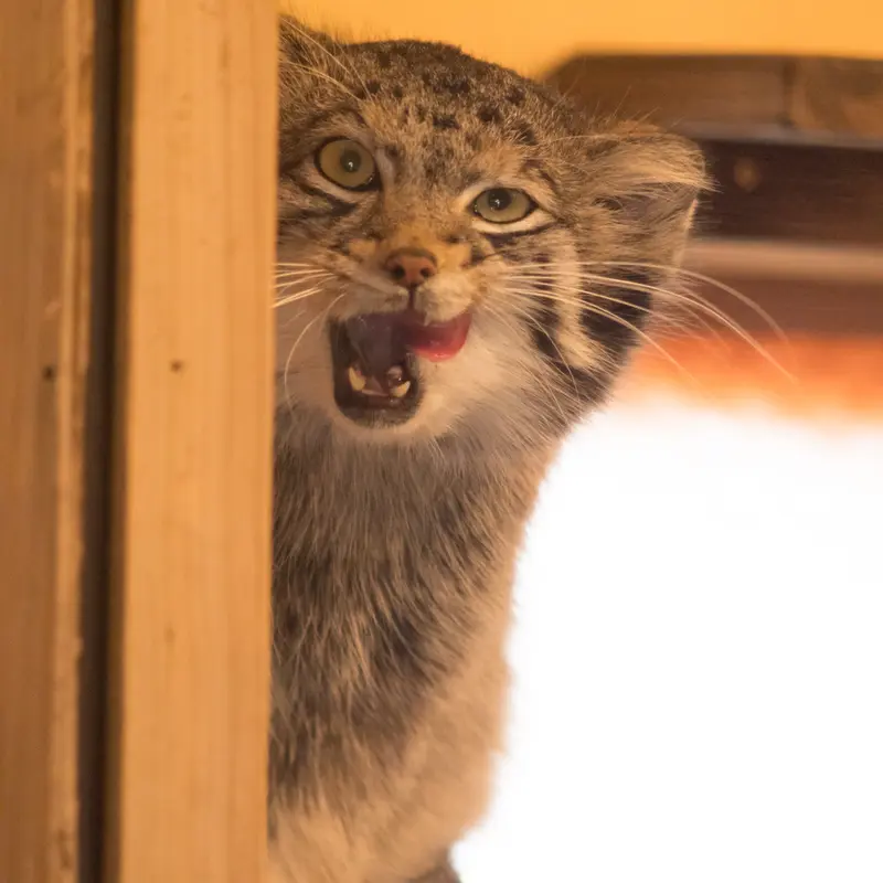 埼玉県こども動物自然公園のオトの写真