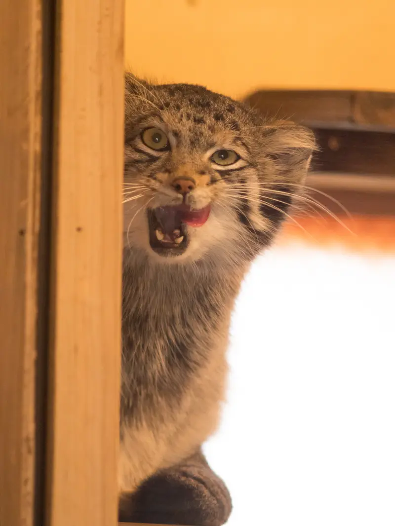 埼玉県こども動物自然公園のオトの写真