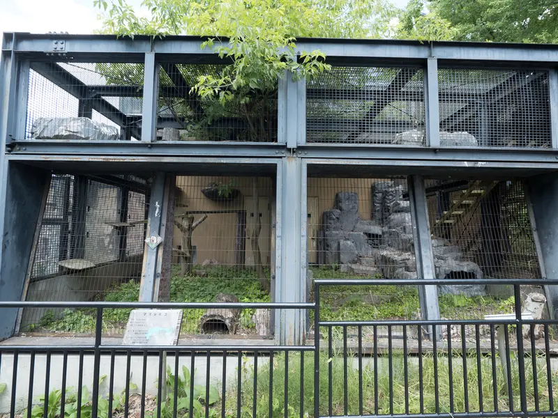 旭山動物園のヒデの写真