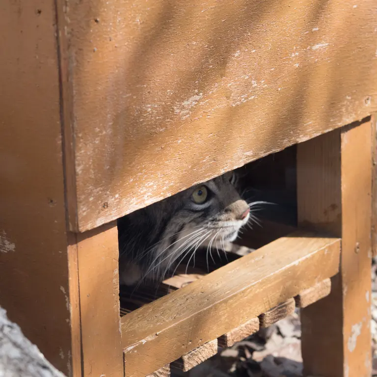 埼玉県こども動物自然公園のオトの写真