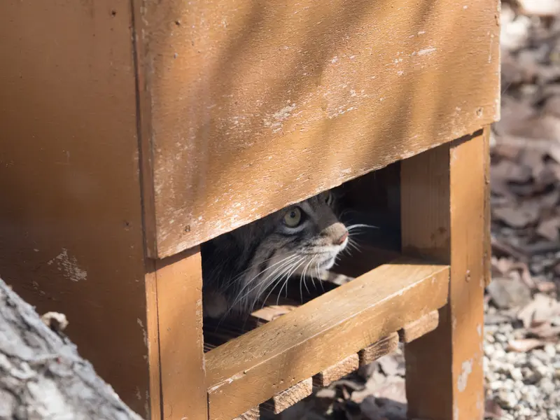 埼玉県こども動物自然公園のオトの写真