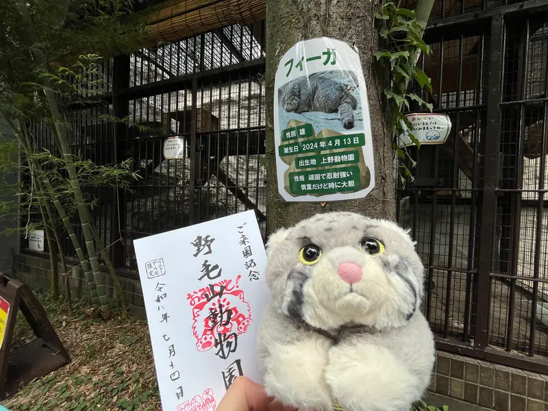 野毛山動物園のフィーガの写真