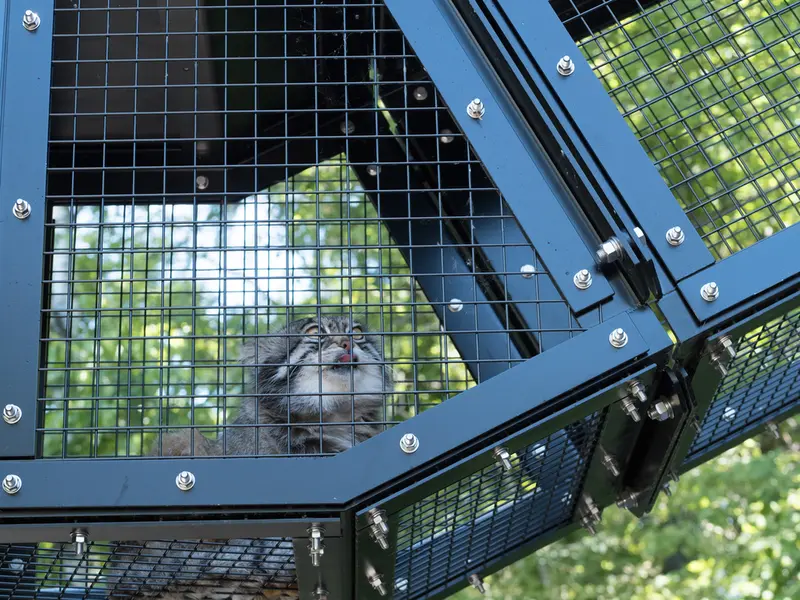 旭山動物園のグルーシャの写真