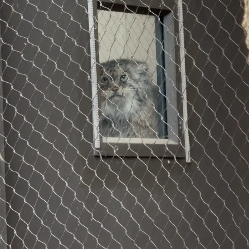 プロスペクト・パーク動物園のサルナイの写真