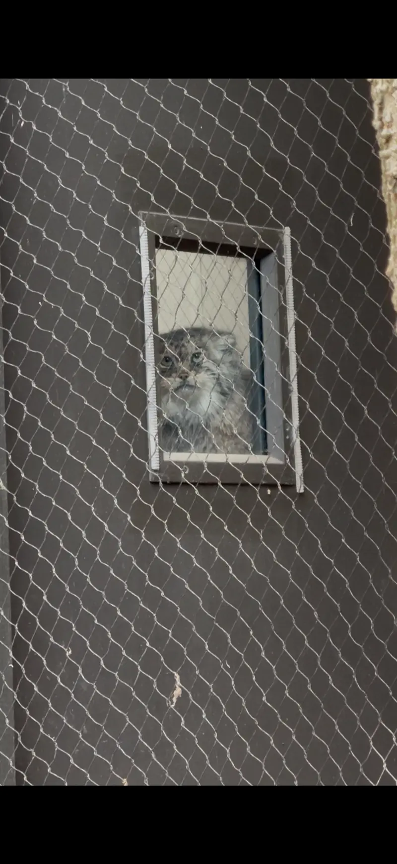 プロスペクト・パーク動物園のサルナイの写真