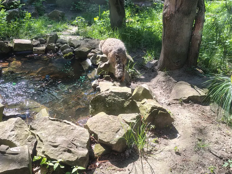 ウッチ動物園のパッツォの写真