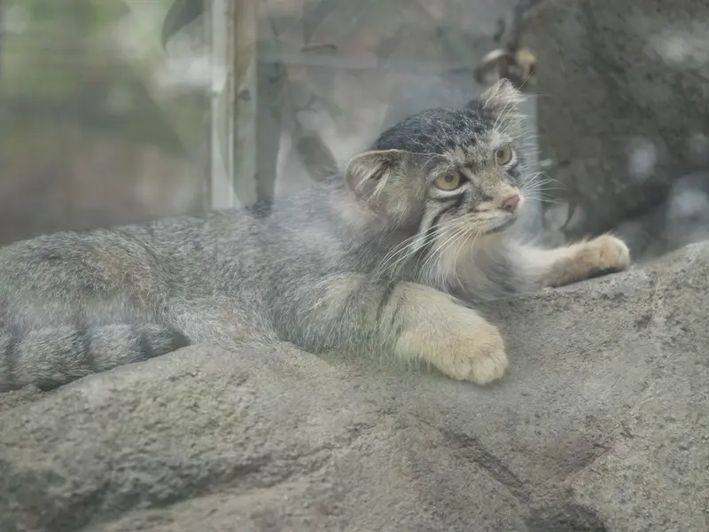 神戸どうぶつ王国のオトの写真
