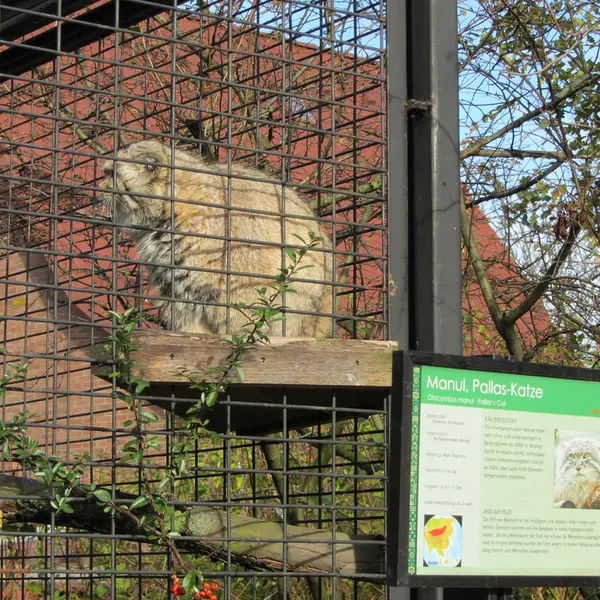 マクデブルク動物園のジョナサンの写真