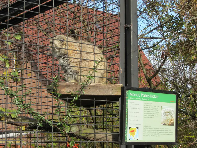 マクデブルク動物園のジョナサンの写真