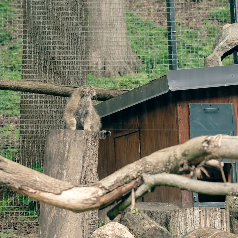 リトアニア動物園のメリッサの写真