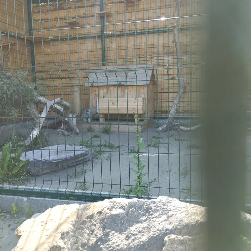 バルナウル動物園「レースナヤ・スカースカ」のペペの写真
