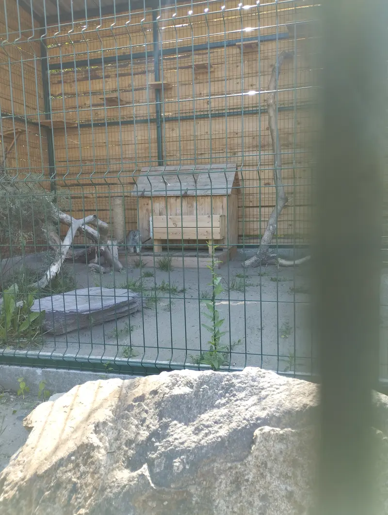 バルナウル動物園「レースナヤ・スカースカ」のペペの写真