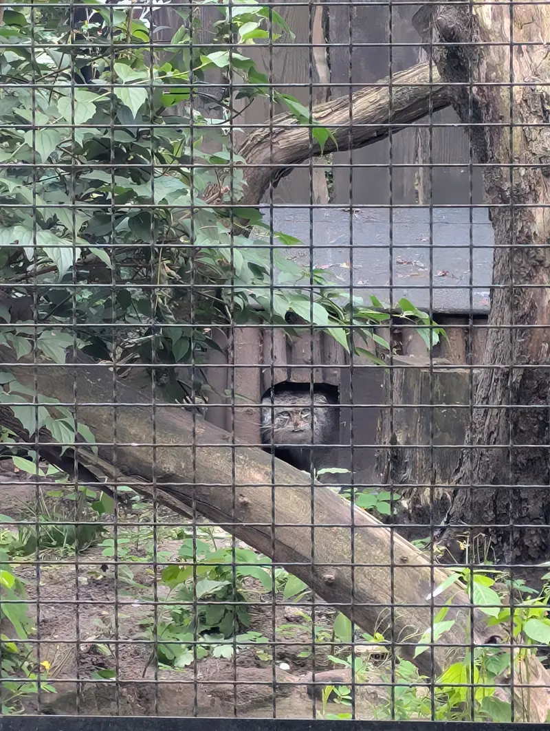 ワルシャワ動物園のジェシーの写真