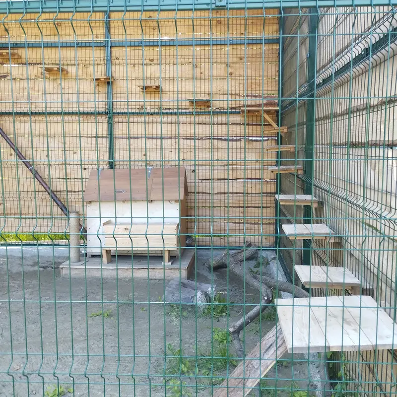 バルナウル動物園「レースナヤ・スカースカ」のチップの写真