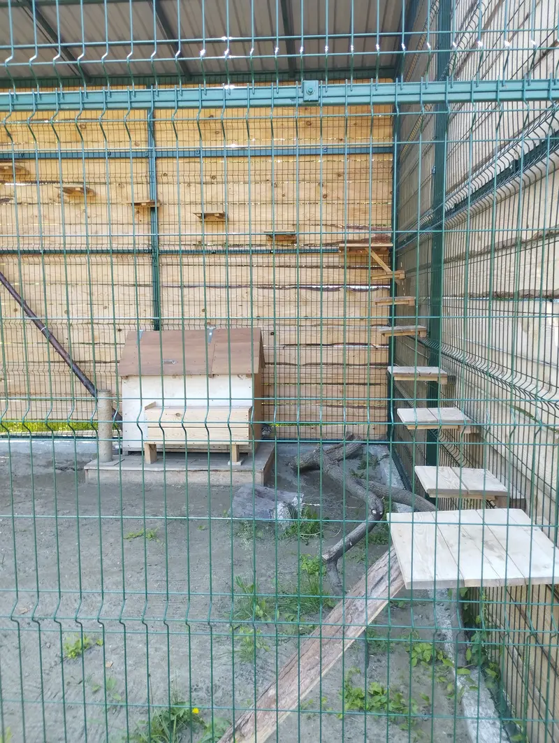 バルナウル動物園「レースナヤ・スカースカ」のチップの写真