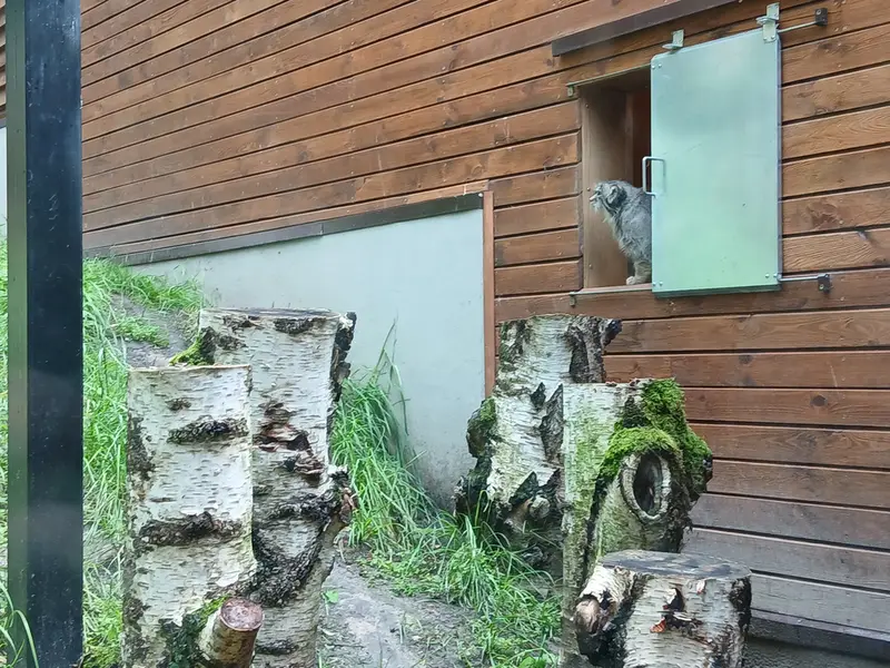 グダニスク動物園のマヌエルの写真