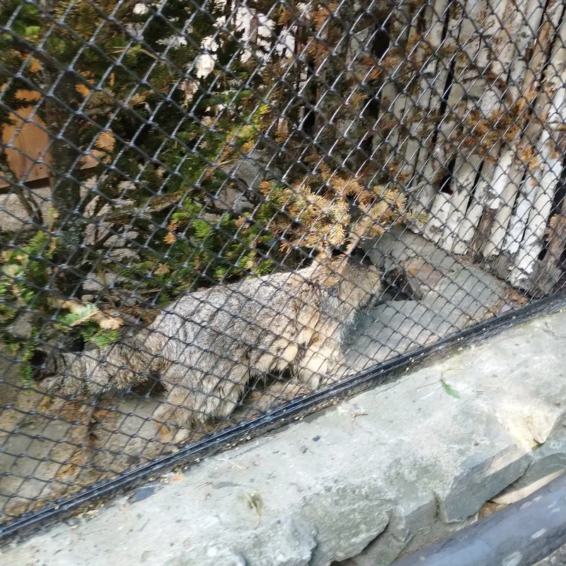 ノヴォシビルスク動物園のゼレノゴルスクの写真