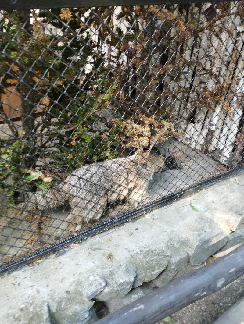 ノヴォシビルスク動物園のゼレノゴルスクの写真