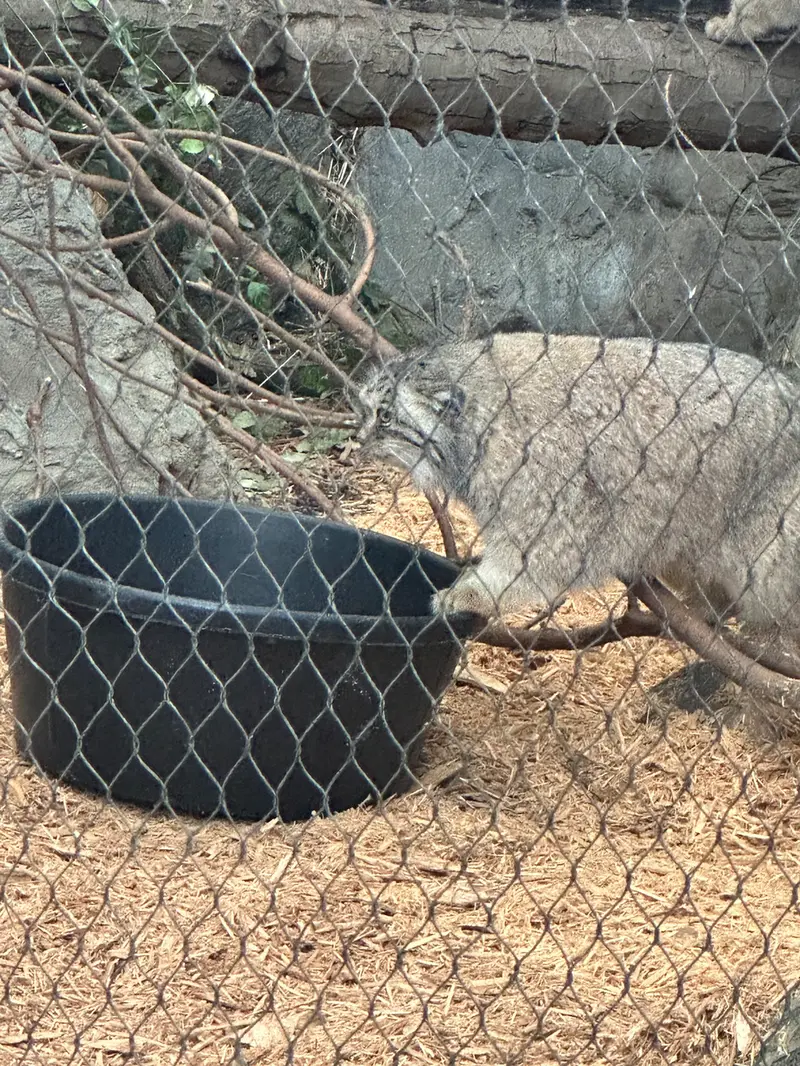 プロスペクト・パーク動物園のサルナイの写真
