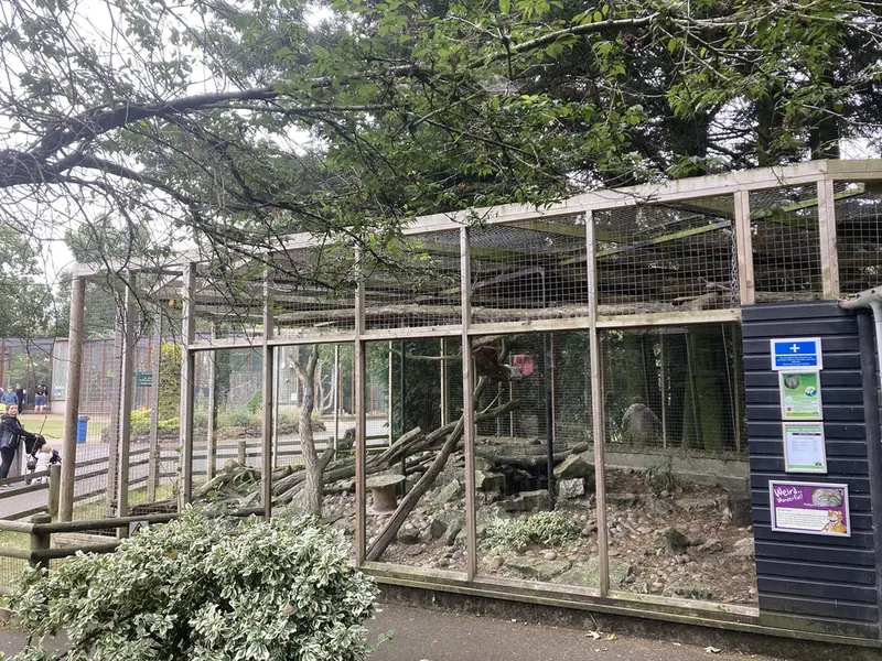 バナム動物園のマヌルネコの写真