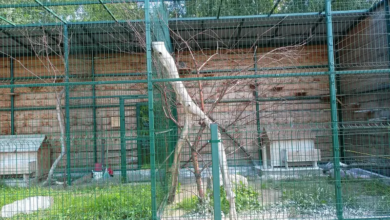 バルナウル動物園「レースナヤ・スカースカ」のチップの写真