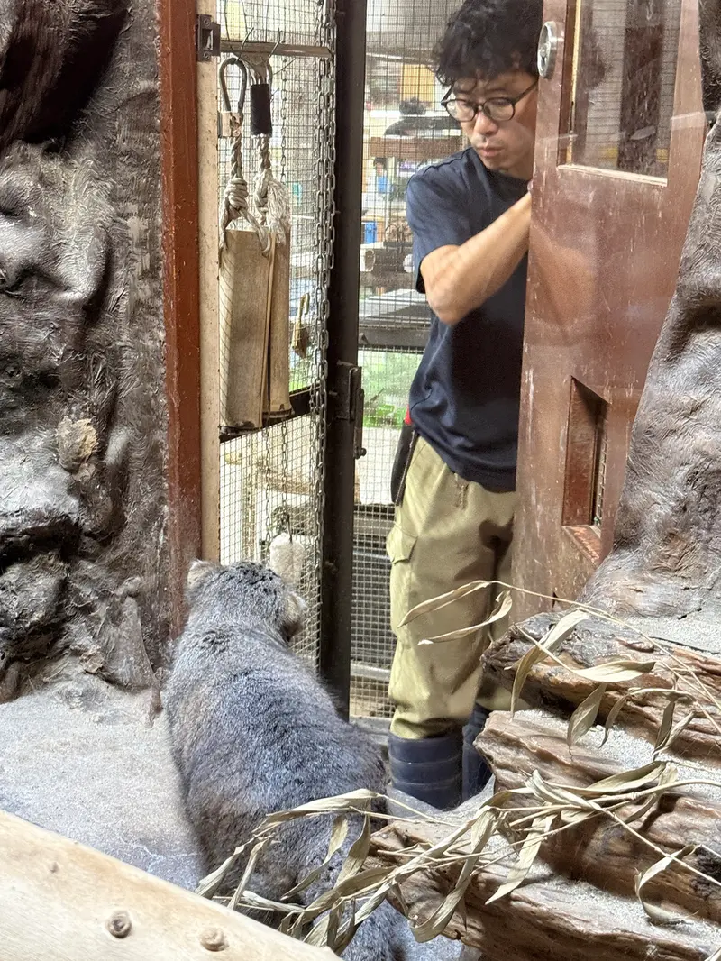 恩賜上野動物園のクリョンの写真