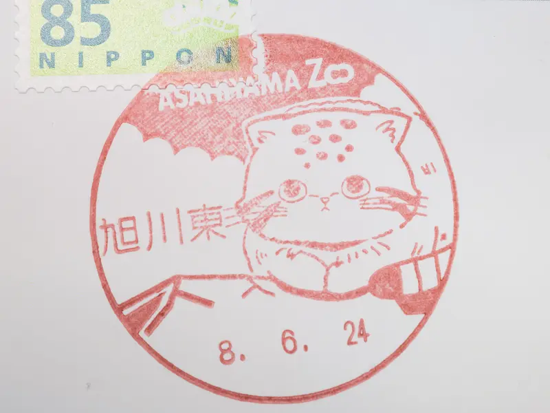 旭山動物園のマヌルネコの写真