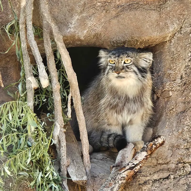 ユタズ・ホグル動物園のオルダの写真